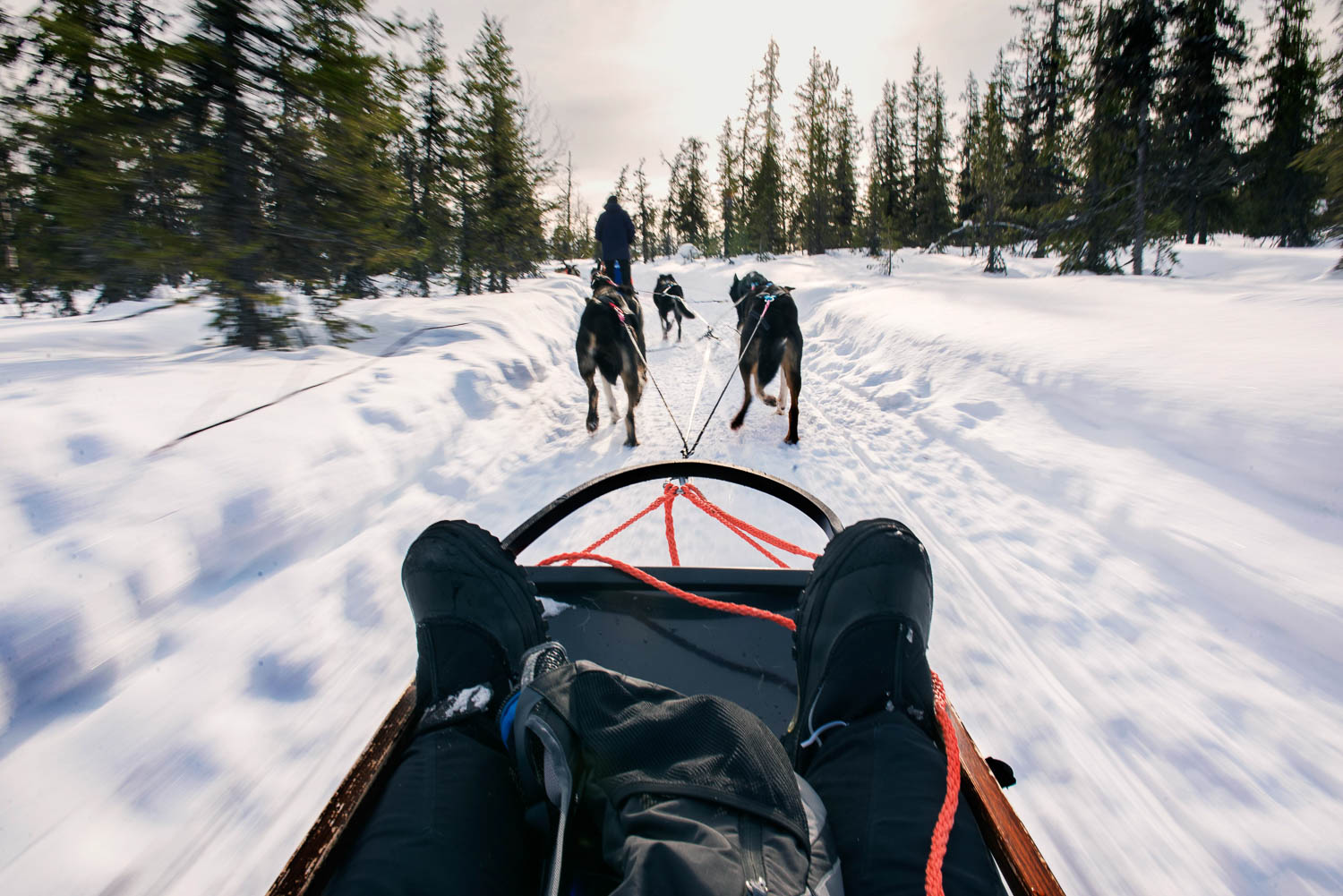 Lapland, 2022