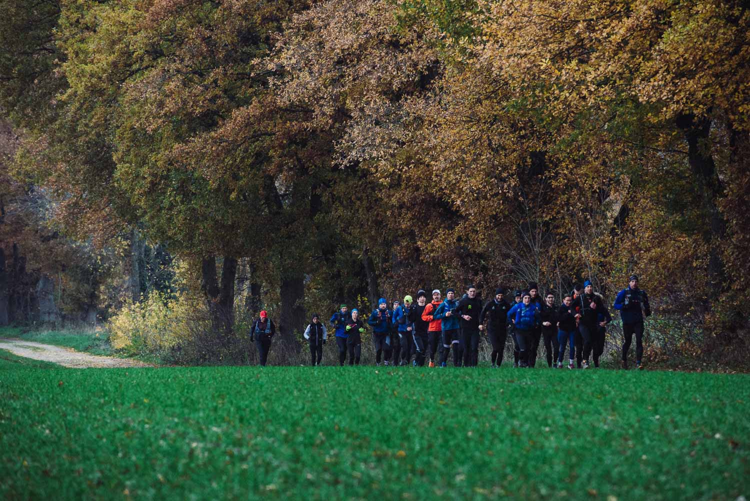 Limburg's Warmste 110