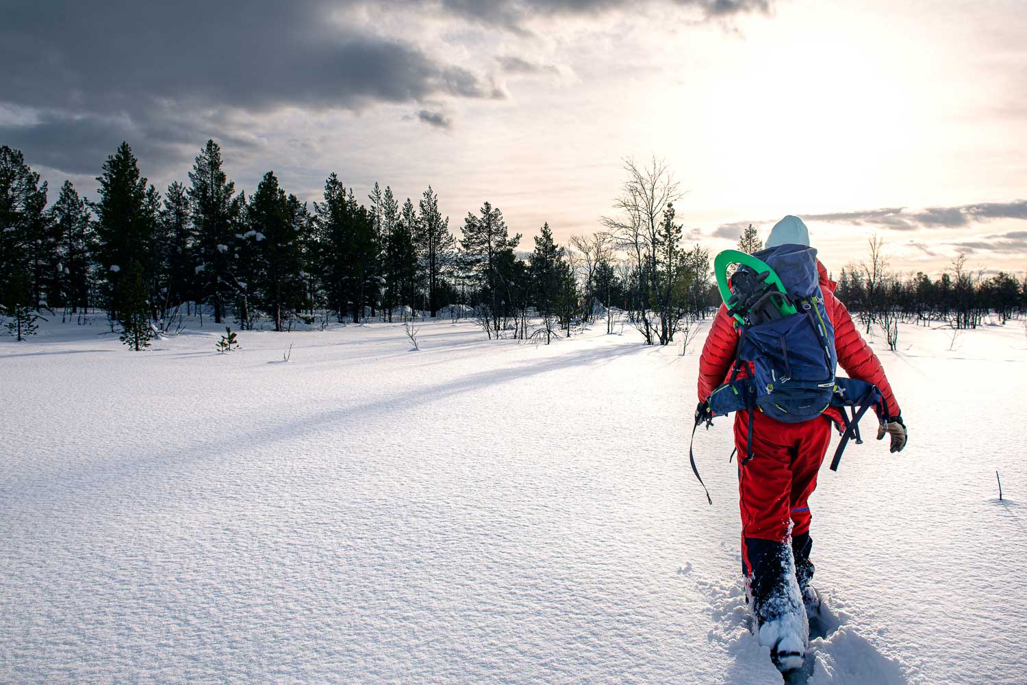Lapland, 2022