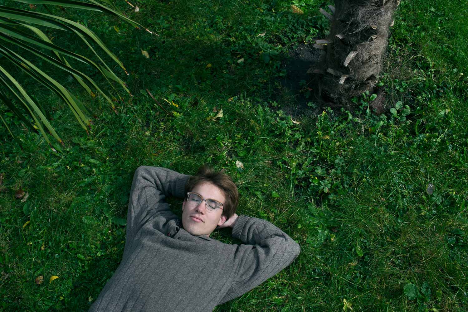 Emile, 2016