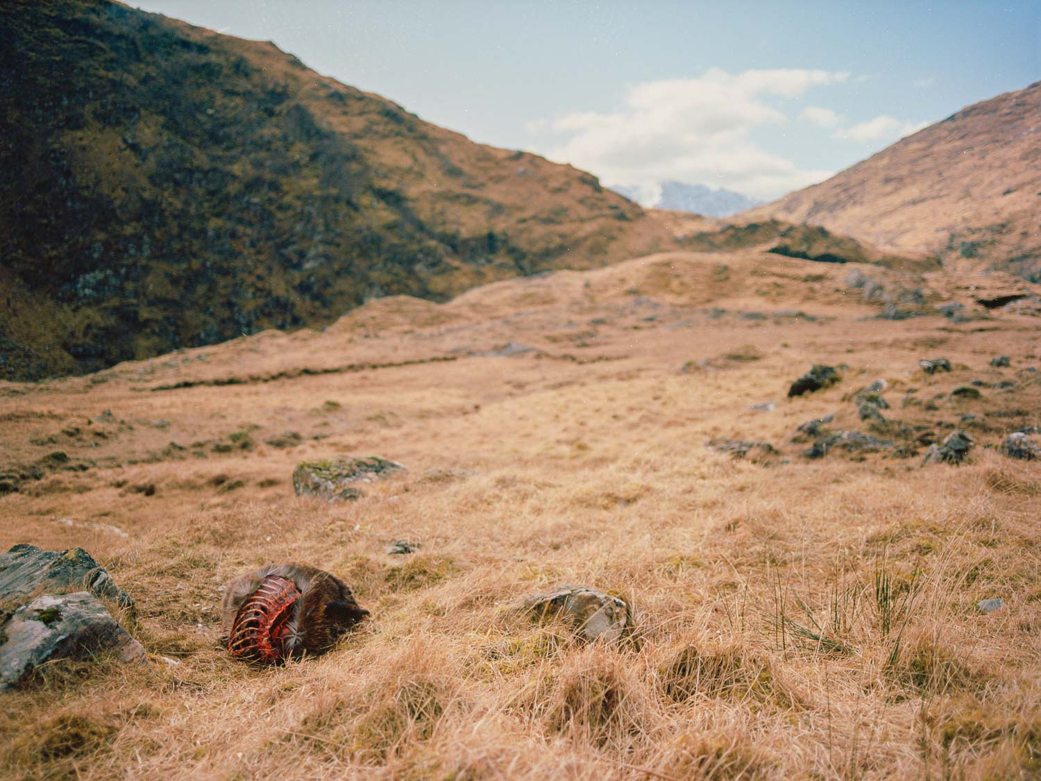 Scotland, 2018