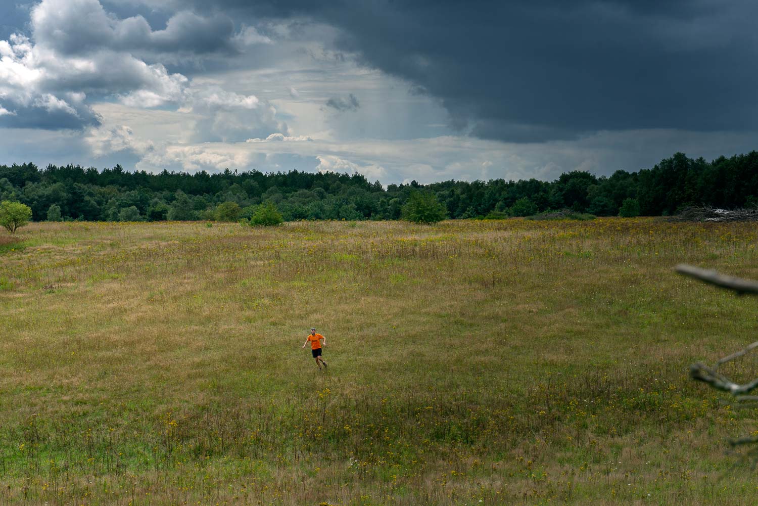 Tom Martens, Runningwild.be, 2021